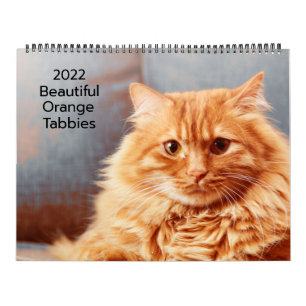 Hermosos Gatos Atigrados Naranjas Calendario 2022