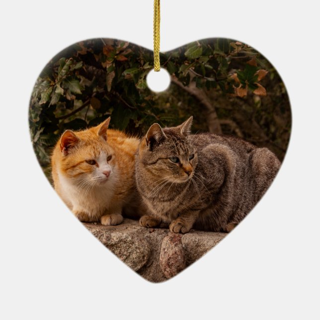 Hermosos Gatos, Ornamento (Atrás)