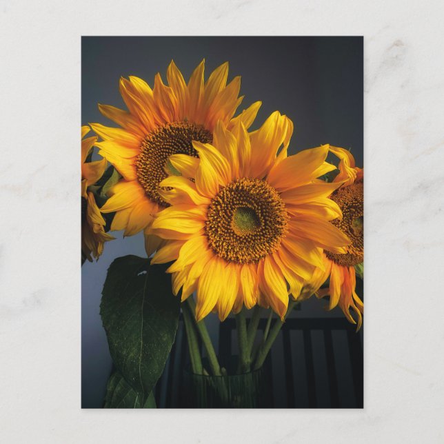 Hermosos girasoles en la postal de Vase (Anverso)
