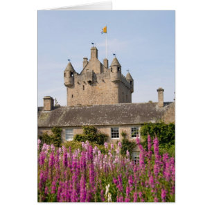 Hermosos jardines y famoso castillo en Escocia 2