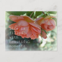 Hermosos momentos Rosas postal