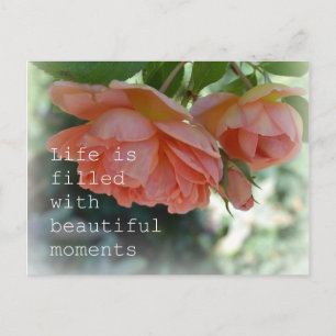 Hermosos momentos Rosas postal