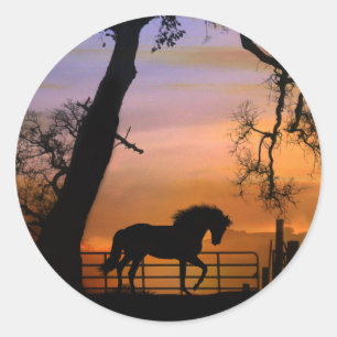 Hermosos Pegatinas de caballos