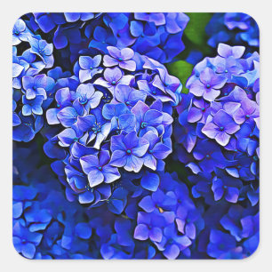 Hermosos Pegatinas de las flores de Hydrangea azul