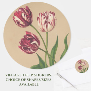Hermosos Pegatinas Vintage Tulips