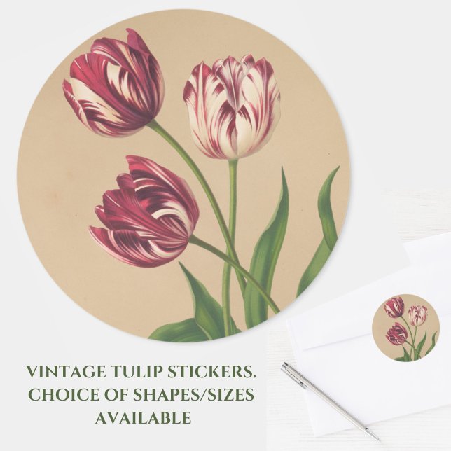 Hermosos Pegatinas Vintage Tulips (Beautiful vintage burgundy ruffled tulips grace these stickers for cards or crafts. Great for Easter)