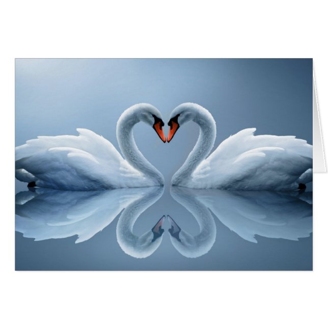Hermosos regalos de cisnes amorosos (Anverso (Horizontal))