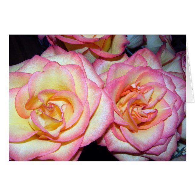 Hermosos Rosas (Anverso (Horizontal))