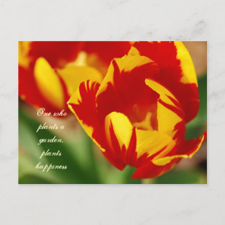 Hermosos tulipanes con postal de Proverbio