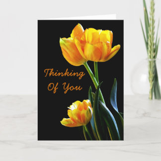 Hermosos Tulipanes Pensando En Tu Tarjeta De Salud