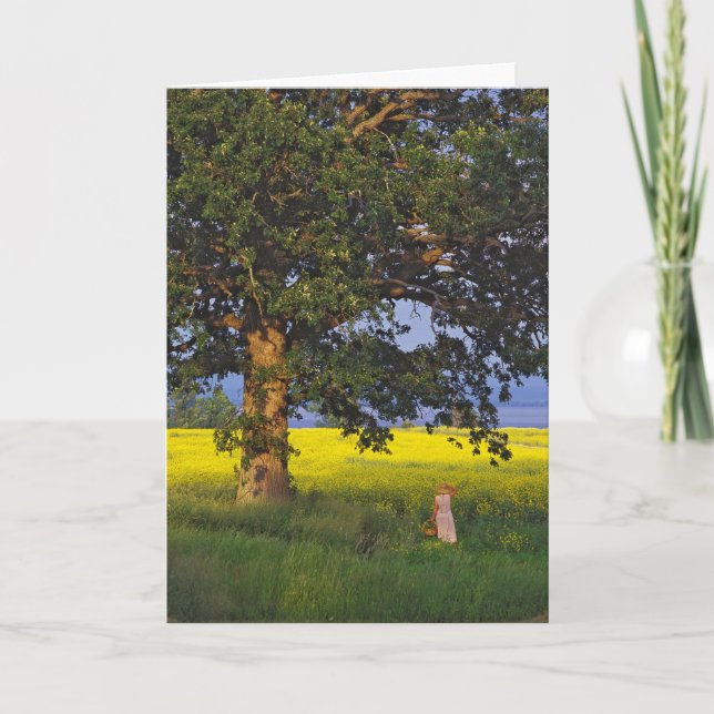 HÉROE DEL NORTE   VERMONT DE LAS TARJETAS DE FELIC (Anverso)