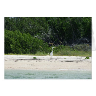 Heron