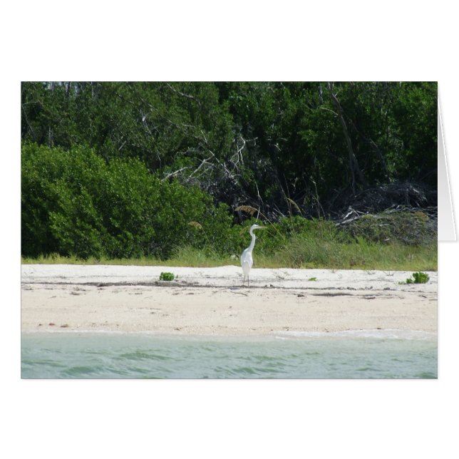 Heron (Anverso (Horizontal))