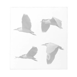 Heron en el Bloc de notas de vuelo