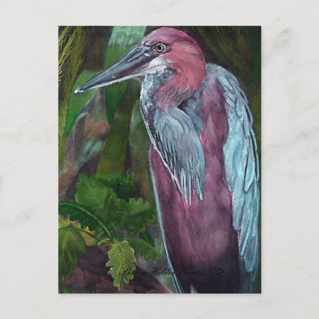 Heron solo está en pie 2 postal (Anverso)