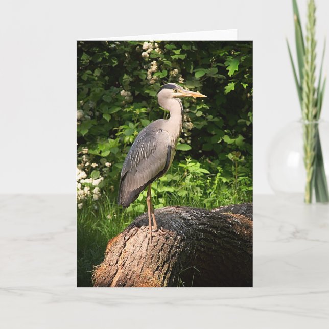 Heron ・ Tarjeta de felicitación (Anverso)