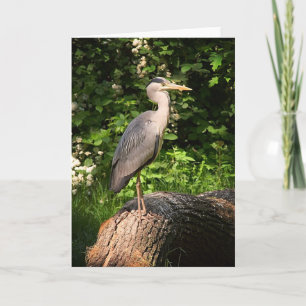 Heron ・ Tarjeta de felicitación