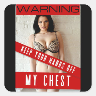 HERRAMIENTAS PEGATINAS DE ADVERTENCIA DE COCHES