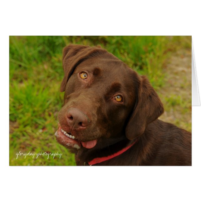 Hershey (Anverso (Horizontal))