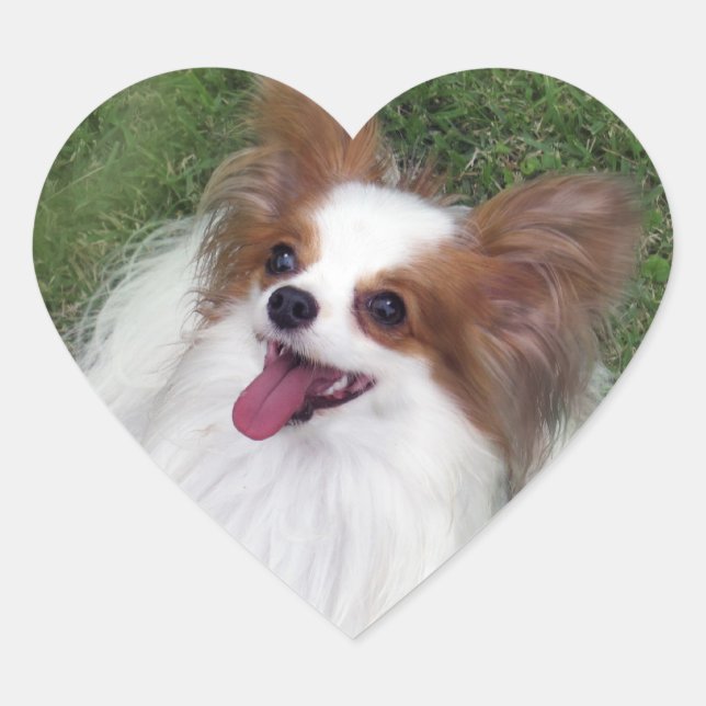 Hershey Kiss Hero Heart Pegatina (Anverso)