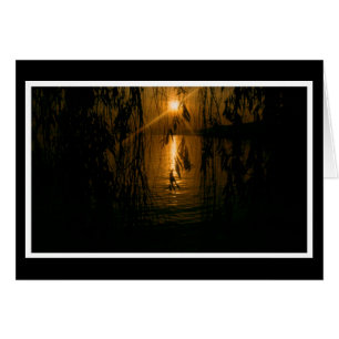 Herzliche Anteilnahme 1 Karte