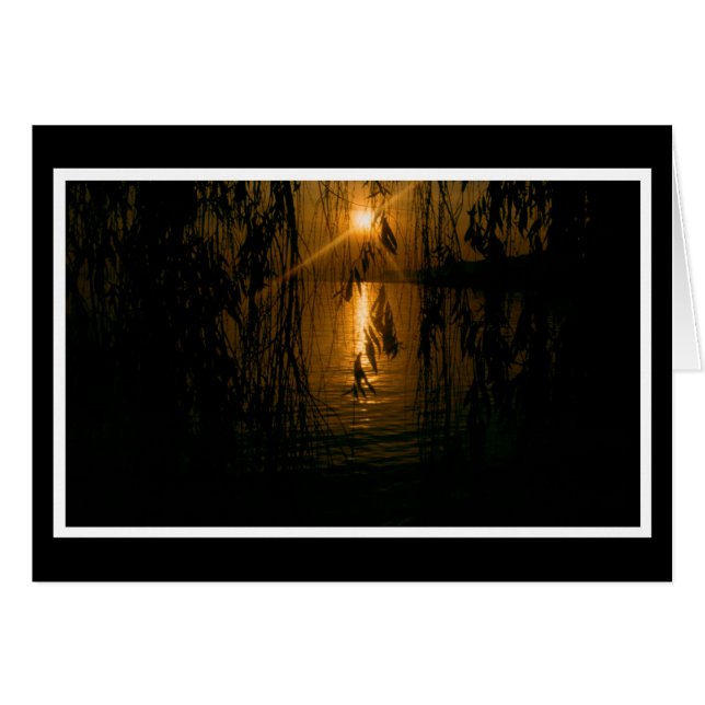 Herzliche Anteilnahme 1 Karte (Anverso (Horizontal))