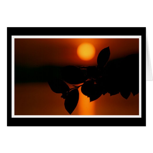 Herzliche Anteilnahme Karte (Anverso (Horizontal))