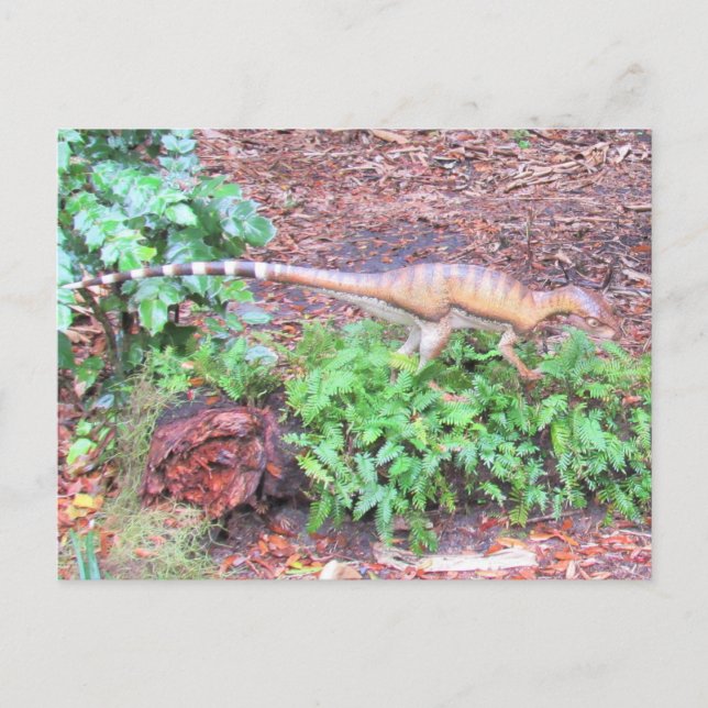 Heterodontosaurus - Dinosaurio - Tarjeta de aprend (Anverso)