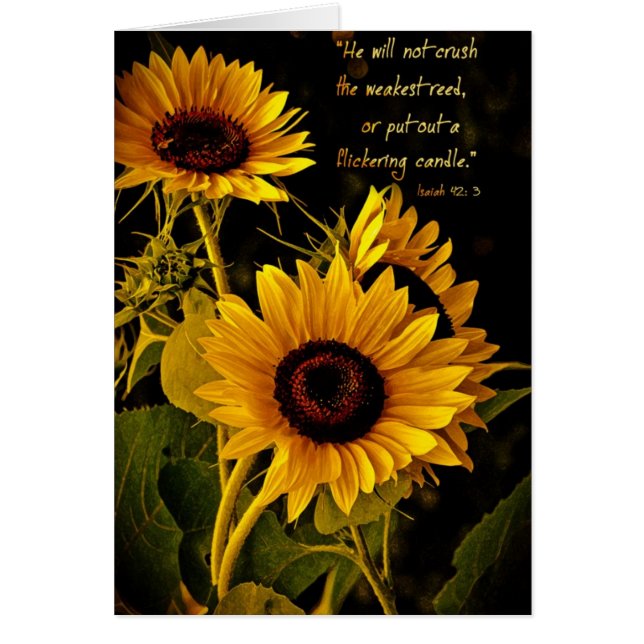 HewillnotcrushthedeestreedZazzle (Frente)