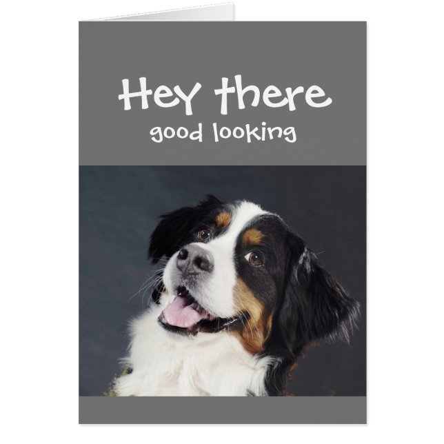 Hey, Hay Un Buen Lugar Flirty Birthday Cute Dog (Frente)