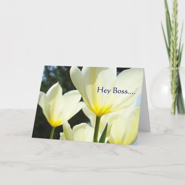 Hey Jefe MERRY MERRY MERRY Navidad para ti! (Anverso)