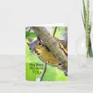 Hey Miss Viendo Tu Tarjeta De Nota