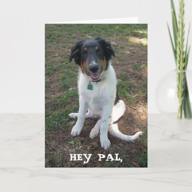 HEY PAL, tarjeta de cumpleaños feliz (Anverso)