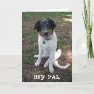 HEY PAL, tarjeta de cumpleaños feliz