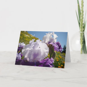 Hey Sis! Tarjetas Feliz Navidad Hermoso Maravillos