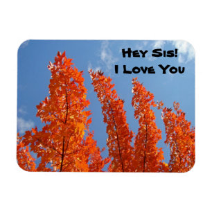 Hey Sis! Te quiero imanes flexibles Árboles de oto