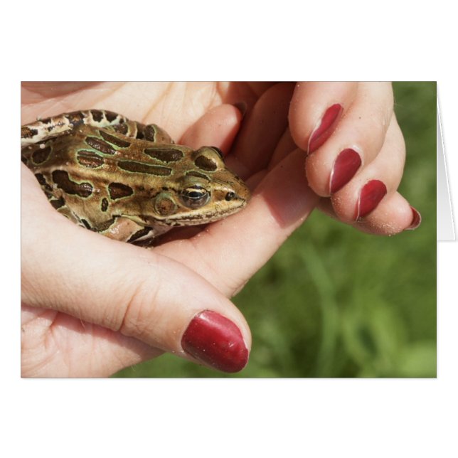 HFTH-011205-MFM-07 (Anverso (Horizontal))