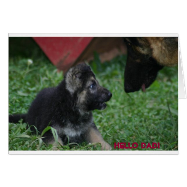 Hi DAD (Anverso (Horizontal))