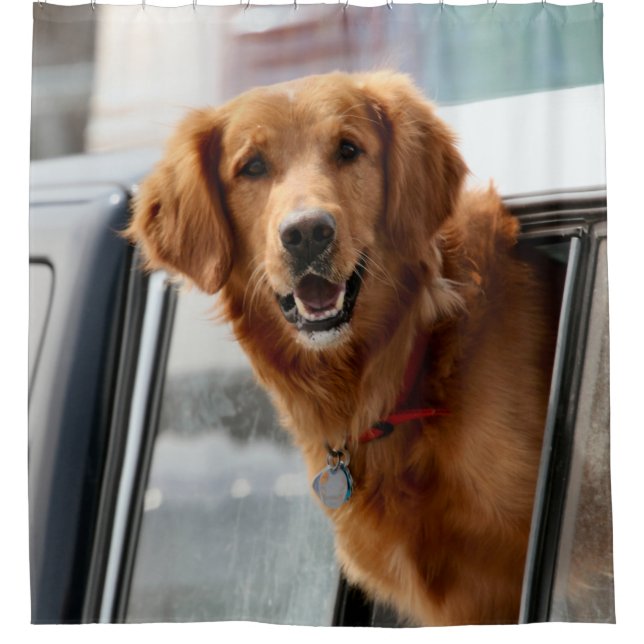 Hi Shower Cortina (Anverso)