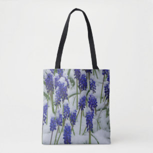 Hiacintos de uva en bolsa de nieve