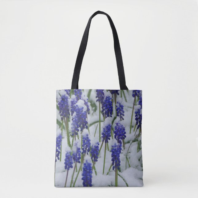 Hiacintos de uva en bolsa de nieve (Anverso)