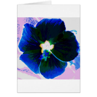 Hibisco Azul