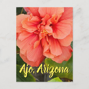Hibisco Flor Doble Melocotón, Postal de Arizona