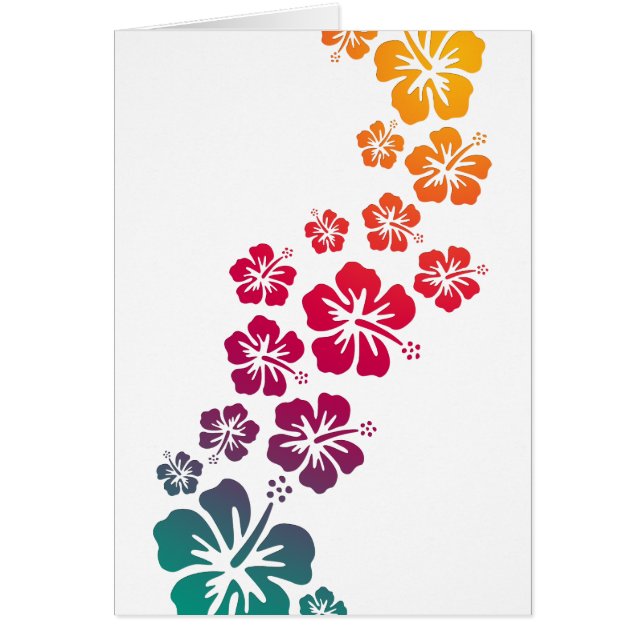 hibisco florece de colores (Frente)