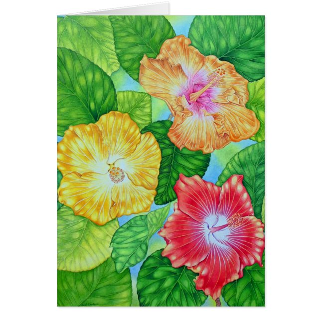 Hibisco hawaiano (Frente)