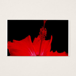 Hibisco rojo