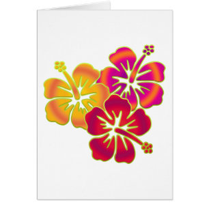 hibisco trio