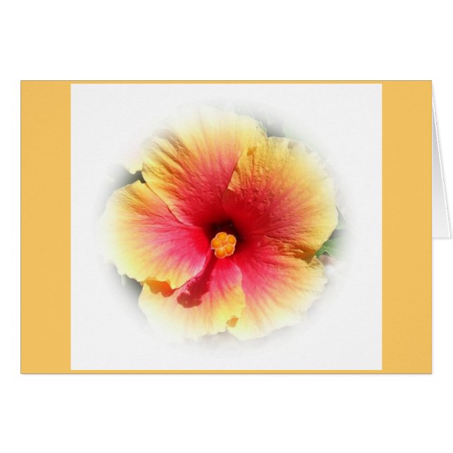 Hibiscus (Anverso (Horizontal))