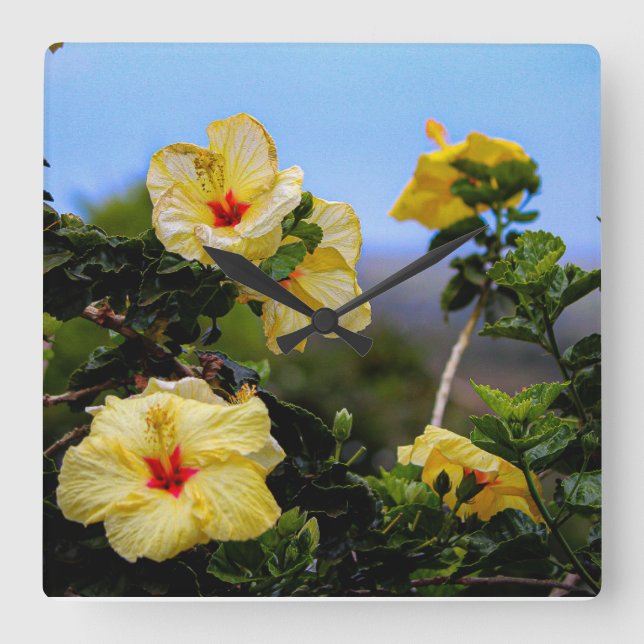 HIbiscus cuadrado Maui reloj de pared (Anverso)