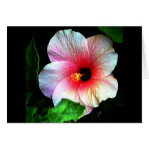Hibiscus Gibney El Museo Zazzle